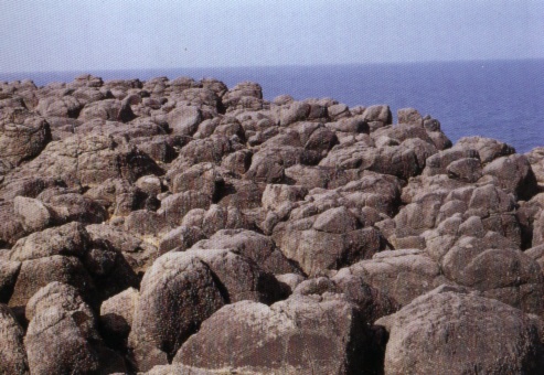 p1-429�����G���ƥ� .JPG (93554 bytes)