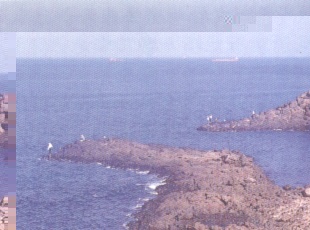 p2-13�����G����.JPG (32176 bytes)