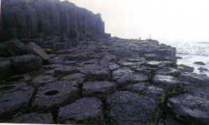 p2-29 �����G.JPG (24494 bytes)